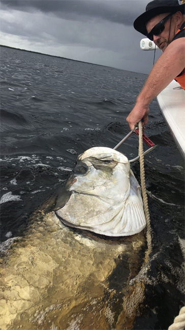 Boca Grande Tarpon Fishing