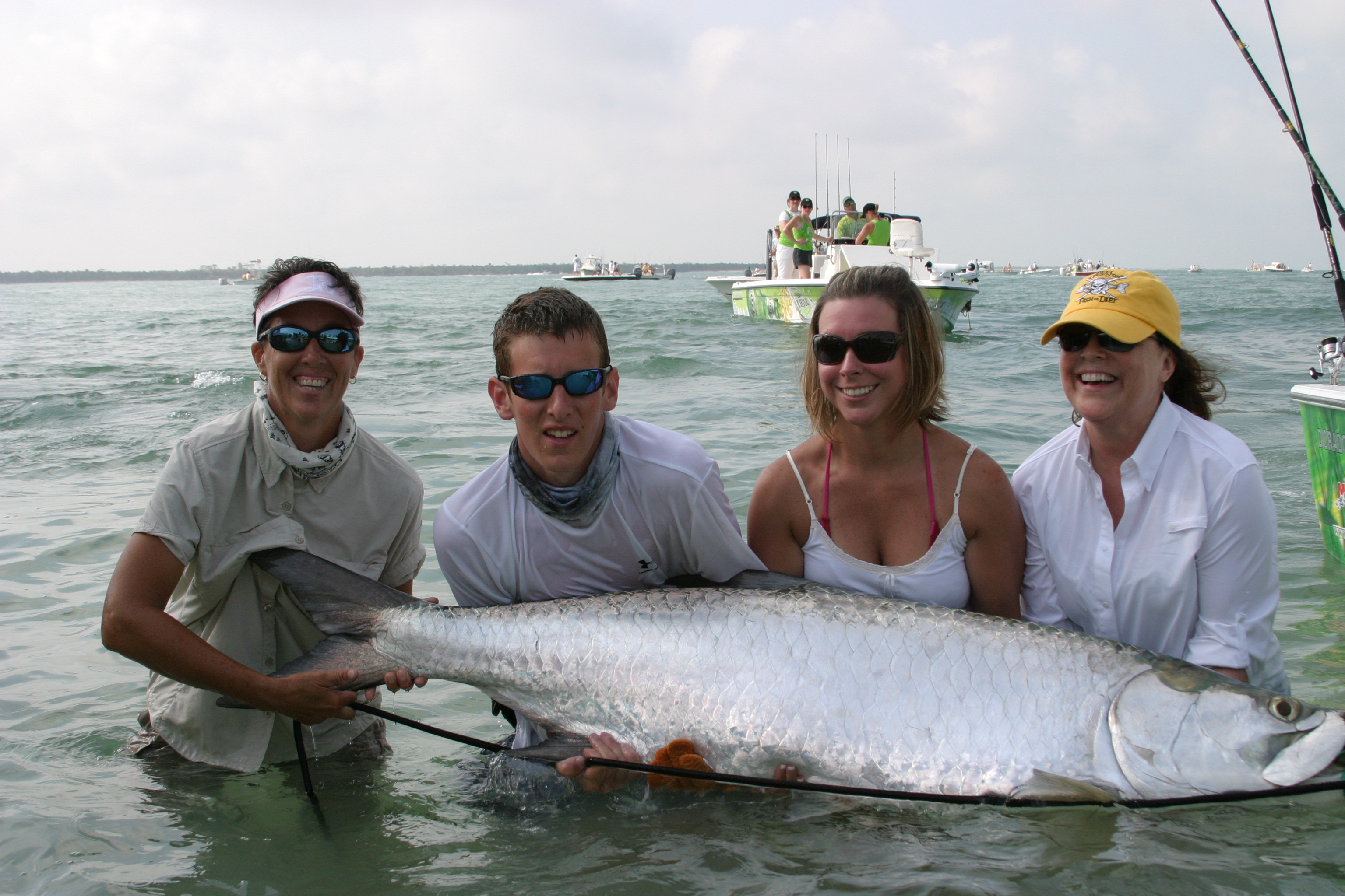 tarpon