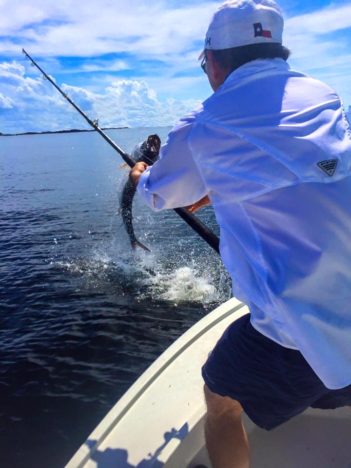 Boca Grande Tarpon