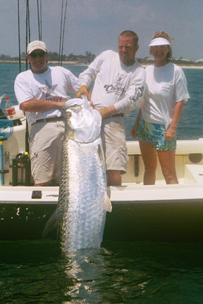 flats tarpon