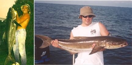 Florida Cobia