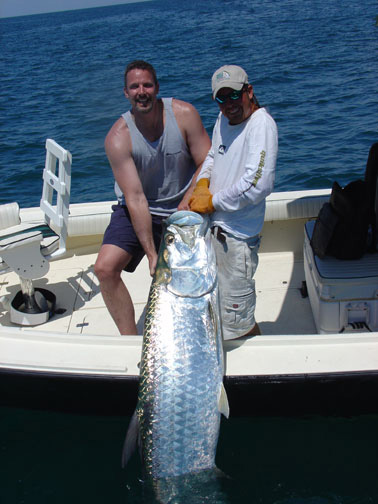 giant tarpon