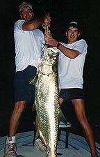 Tampa Bay Fishing Charters - tarpon fishing charters