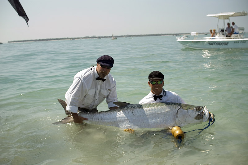 tarpon fishing in Boca Grande Pass