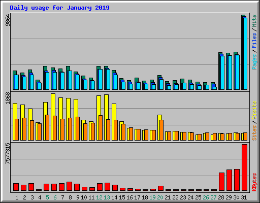 Daily usage for January 2019