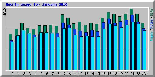 Hourly usage for January 2019