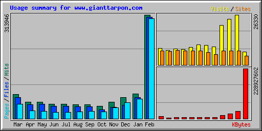 Usage summary for www.gianttarpon.com
