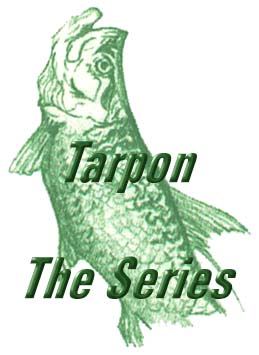 Tampa Bay Fishing Charters - tarpon fishing charters