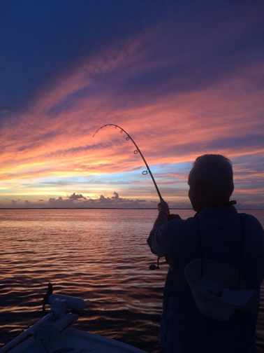 tarpon fishing