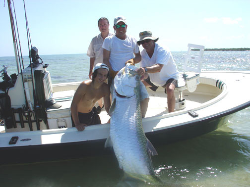 tarpon boca grande pass