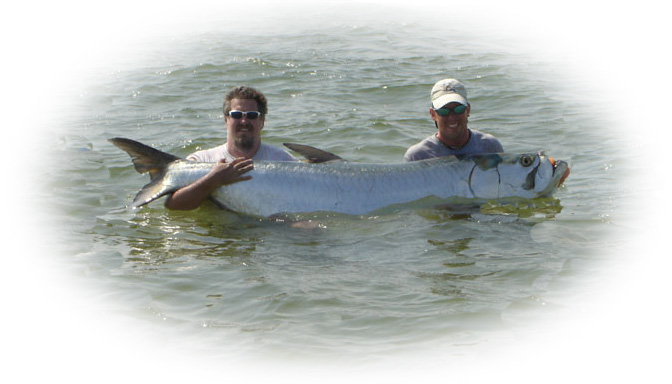 tarpon fishing