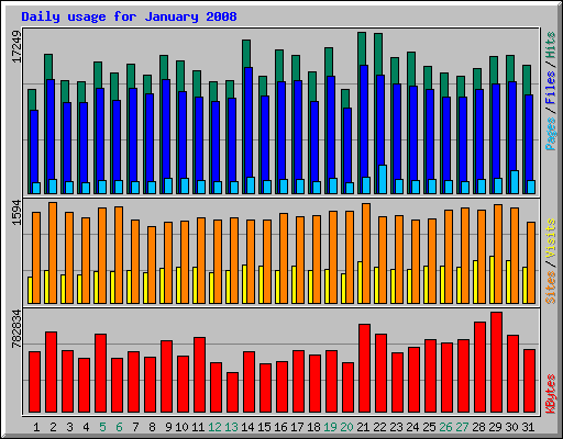 Daily usage for January 2008